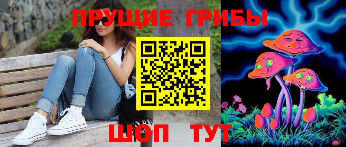 Псилоцибиновые грибы Psilocybine cubensis Кисловодск
