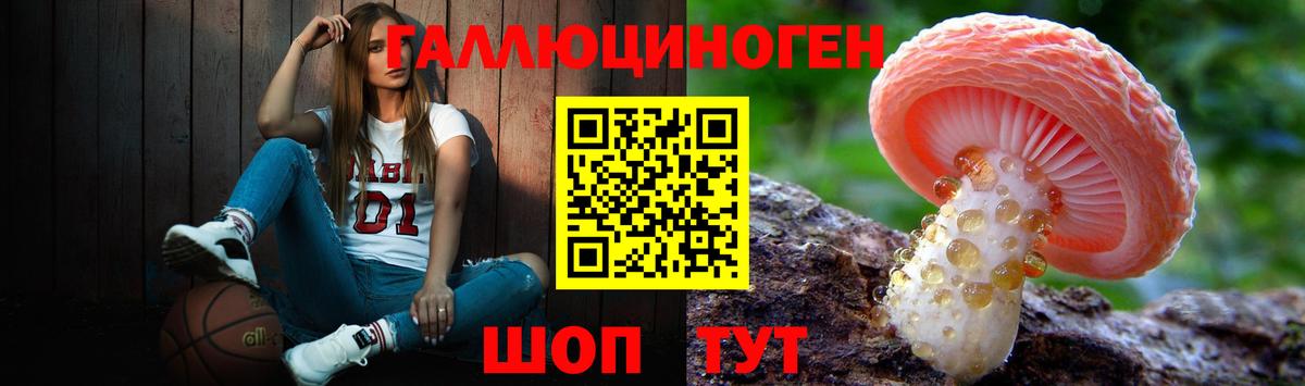 купить   Псилоцибиновые грибы GOLDEN TEACHER  Вход с VPN  Кисловодск 